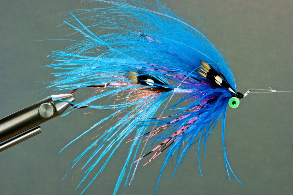 Winter Steelhead Intruder Fly. This fly is in the 4.4-inch size class, a very nice flyy to swing in a river like the Sandy or  the Clackamas, or big water reaches of Oregon and Washington coastal rivers.