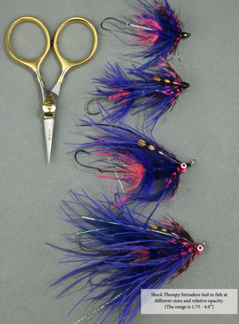 Jay NIcholas: Shock Therapy INtruder, tied in sizes from 1.5-inch to 4-inch. These flies all fish.