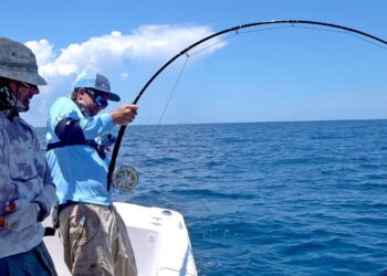 Attempting the Impossible! Goliath Grouper on Fly Fishing Tackle