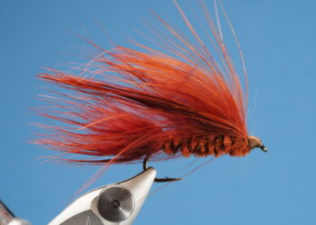 This Brown Marabou Lake Leech was tied by my friend who has fished this pattern on Gold Lake since 1974.