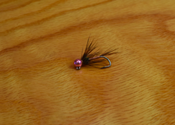 Screen Shot 2021-01-13 at 8.35.06 AM