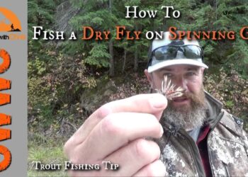 How to Fish a Dry Fly on Spinning Gear – St. Joe River Trout Fishing
