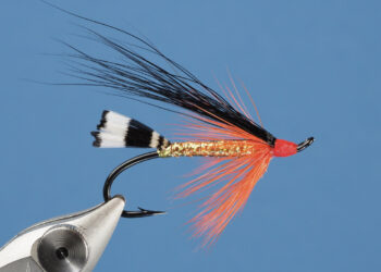 Black Demon Steelhead Fly by Stan Davis