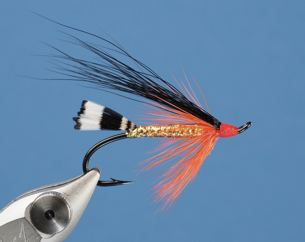 Black Demon Steelhead Fly by Stan Davis