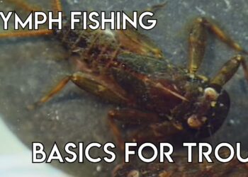 Nymph Fishing Basics for Trout