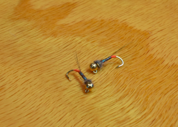 Screen Shot 2021-01-12 at 12.15.41 PM