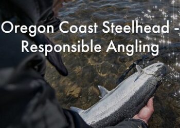 Screen Shot 2021-01-23 at 6.31.28 AM