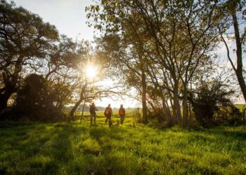 TheOrvisCompany avatar