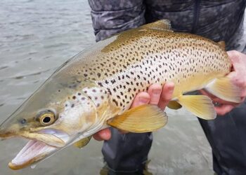 Something Different For Opening Day.