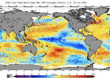 The Blob is Weakening – Moldy Chum