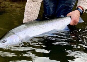 bWFpbi9pbWcvcGFnZXMvNmY4YjVhNDEtZTQwZC00NDYxLTg3MDktODVkNzAyZWEzZTZmXzFfMTA1X2MuanBlZw==