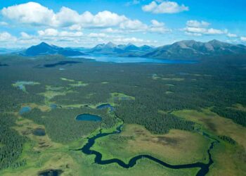 Wednesday Wake-Up Call 01.27.21 – Orvis News