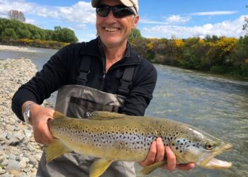 What A Crazy Couple Of Months !