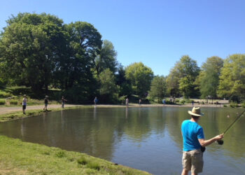 39621040112_10c16f66e1_z