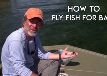 Bass on a Fly – Orvis Guide to Fly Fishing