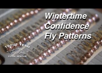 Best Winter Time Flies for Euro Nymphing