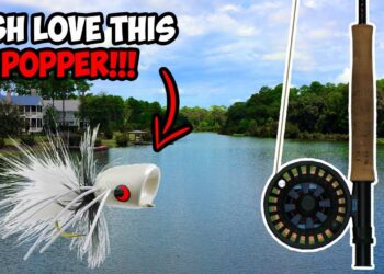 CRAZY Topwater Fly Fishing for BASS!!! | Fly Fishing for Bass with Poppers!