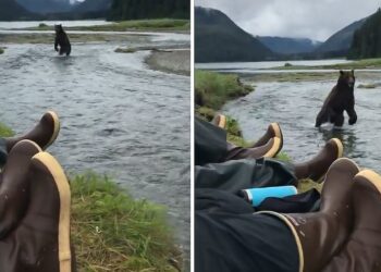 Extreme Chill – Moldy Chum