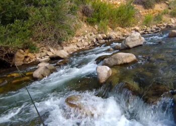 Indicator Nymphing – Shallow Pocket Water