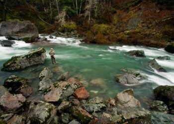 bWFpbi9pbWcvcGFnZXMva2VubW9ycmlzaC00Ni1zbS5qcGc=