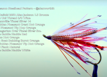 Screen Shot 2021-01-15 at 9.15.21 AM