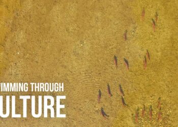 The Cultural Value of Salmon in Northern British Columbia