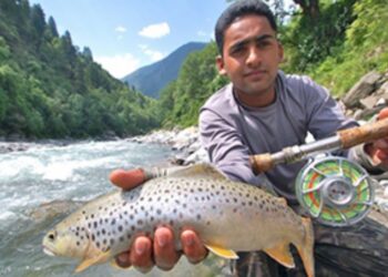 The Story of the Unfortunate Scotsman, Himalayan Trout and Pahadi Pride