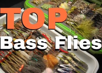 Top 5 Bass Flies – BEST Fly Fishing Gear