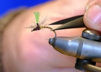 Tying Tuesday: Realistic Quill Bodies