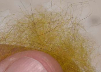 Video: A Primer on Natural Dubbing Materials