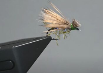 Video: Tying the Straggle String Caddis