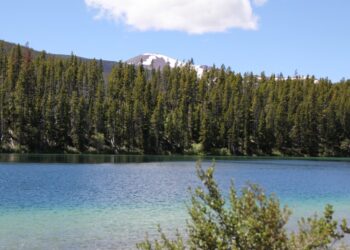 Wilderness Trout Replacement Up For Review