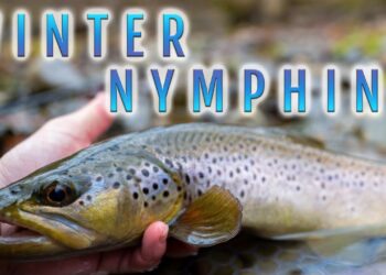 Winter Euro Nymphing for Brown Trout