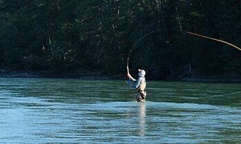 633d8777-9357-428f-855b-cad1cd55d7ed