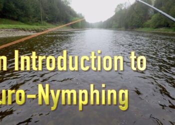 An introduction to the basics of Euro Nymphing