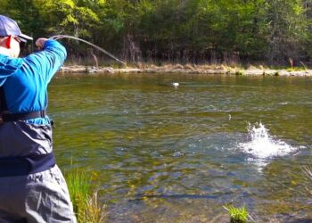 Fly Fishing for BIG Rainbow Trout in a Shallow River | Field Trips with Robert Field