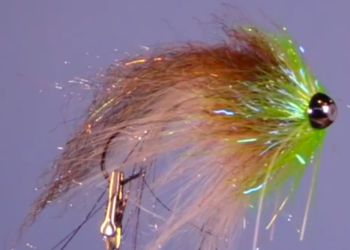 Screen Shot 2019-06-09 at 9.03.40 AM