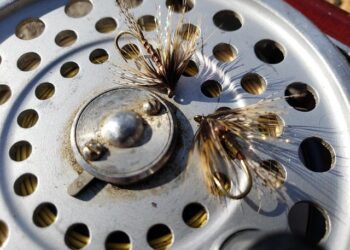 Resized952021031795100022