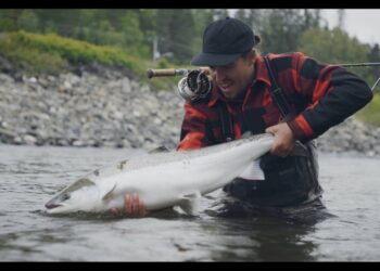 Out There (Teaser) – Moldy Chum