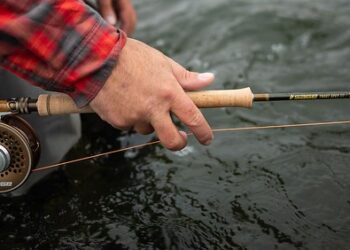 20e4ea6e-a4fc-4c81-8451-06d94f74dbab