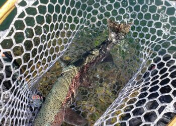 Resized_20210228_140059(2)