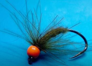 Tying Tuesday: Dazzle Bead and CDC Nymph