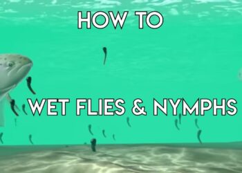 Using Wet Flies & Nymphs – How To