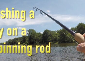 Using a Spinning Rod to Catch Bass on a Fly