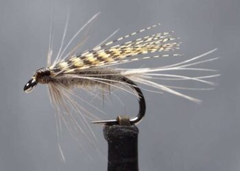 Video: How to Tie the Dark Hendrickson Wet Fly
