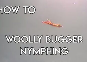 WOOLLY BUGGER NYMPHING | Wyoming