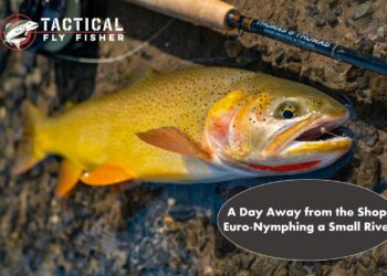 A Day Away from the Shop: Euro-Nymphing a Small River