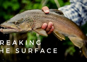 Breaking the Surface: Dry fly fishing