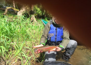 Screen Shot 2021-04-01 at 8.45.12 PM