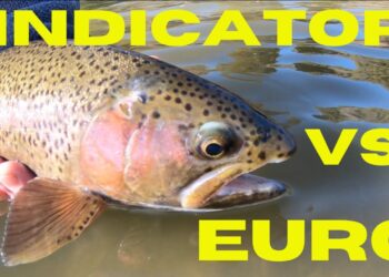 FLY FISHING CHALLENGE! (euro nymphing vs indicator)